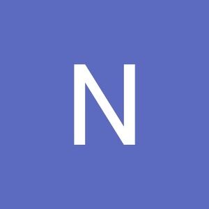 Meet your Posher, Netinho